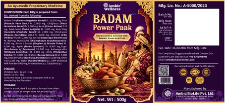 BADAM POWER PAAK trademark artwork