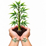 NORTH EAST NURSERY ( with device) trademark artwork