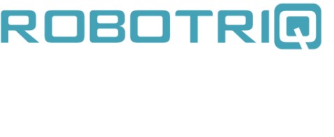 ROBOTRIQ trademark artwork