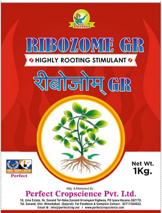 RIBOZOME GR trademark artwork