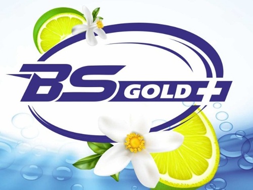 BSGOLD+ trademark artwork