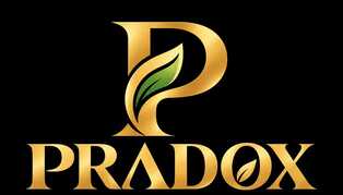 PRADOX trademark artwork