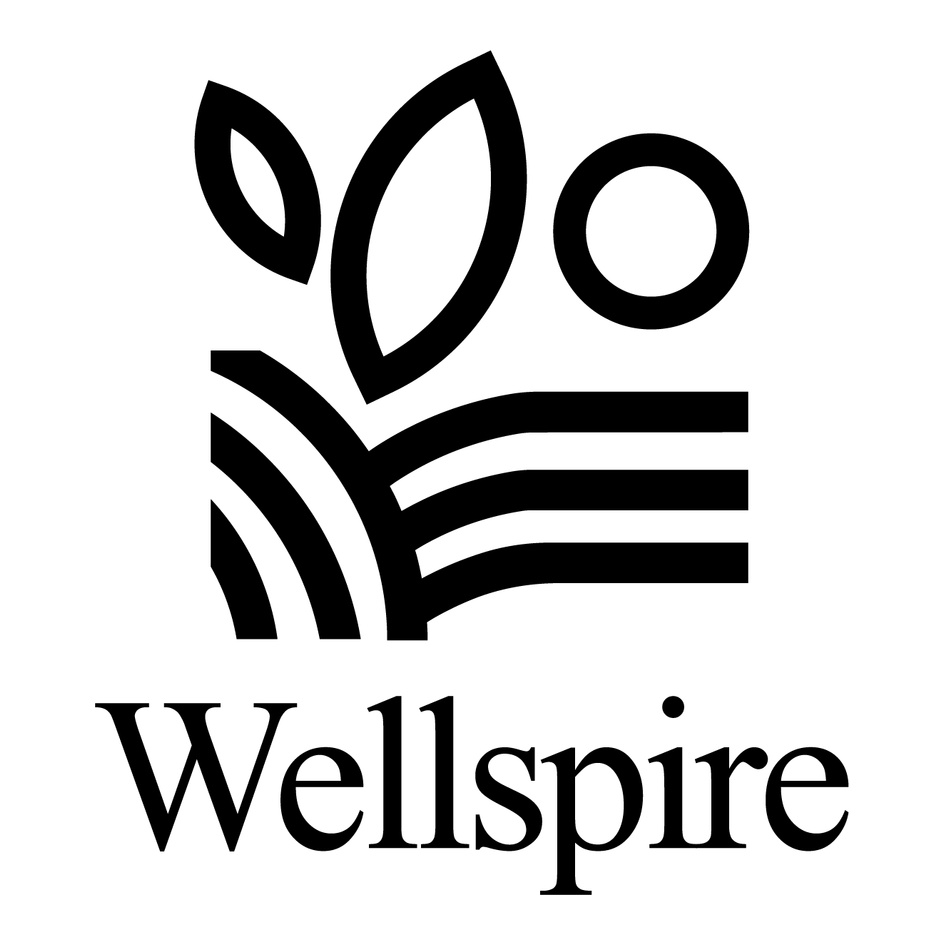 WELLSPIRE trademark artwork