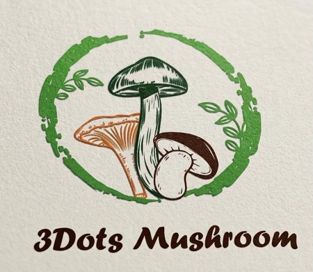 3Dots Mushroom trademark artwork