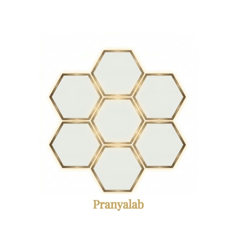 PRANYALAB trademark artwork