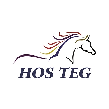 HOS TEG trademark artwork