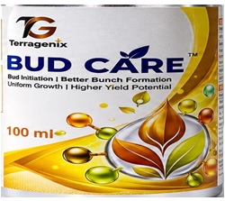 BUD CARE trademark artwork