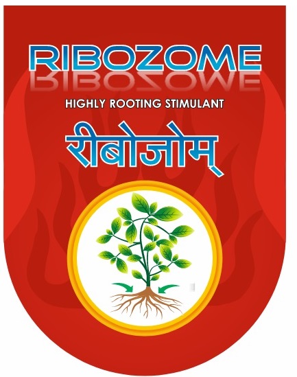 RIBOZOME trademark artwork