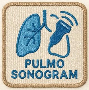 PULMO SONOGRAM trademark artwork