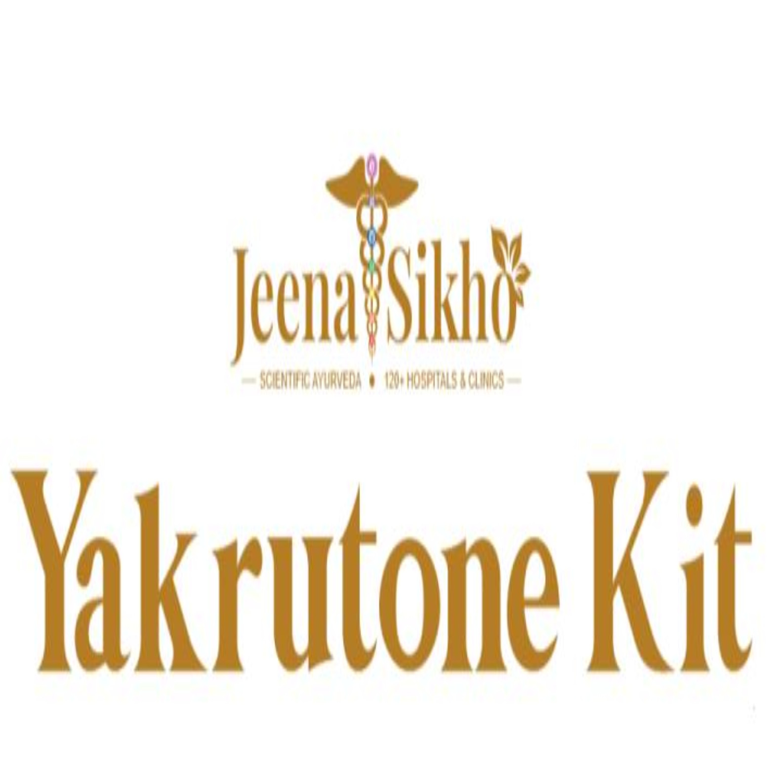 JEENA SIKHO YAKRUTONE KIT trademark artwork