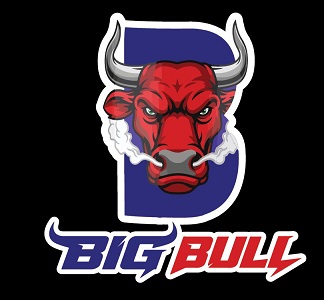 BIG BULL trademark artwork