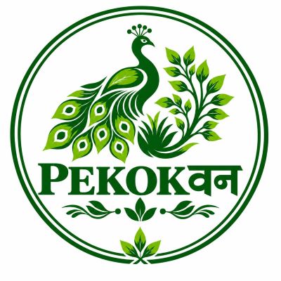 PEKOKONE trademark artwork