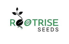 ROOTRISE SEEDS trademark artwork