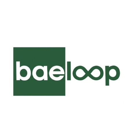 baeloop trademark artwork