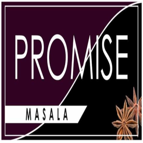 PROMISE MASALA trademark artwork