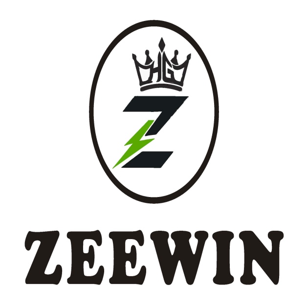 ZEEWIN trademark artwork