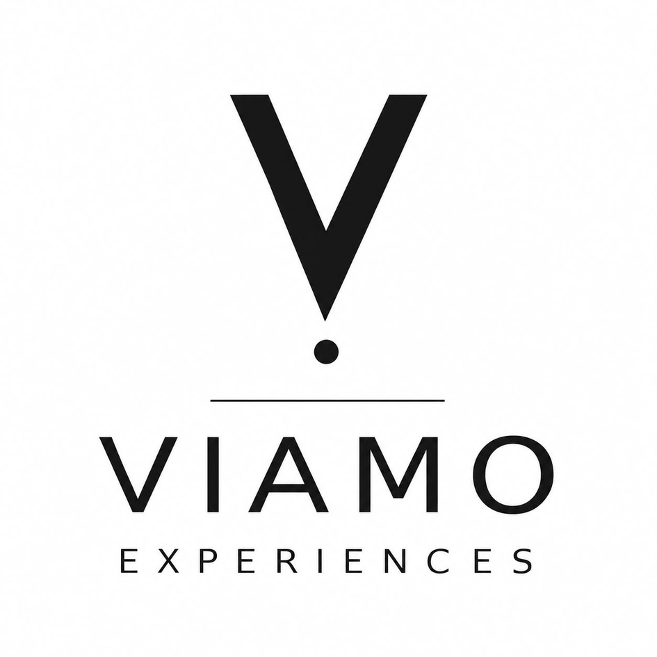 VIAMO EXPERIENCES trademark artwork