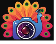 MöR (PEACOCK) DEVICE trademark artwork