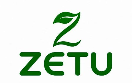 ZETU trademark artwork