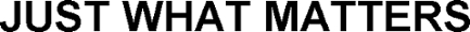 JUST WHAT MATTERS trademark artwork