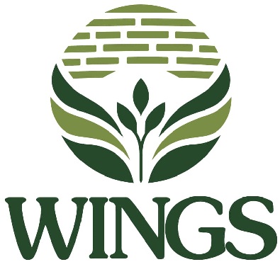 WINGS WITH DEVICE trademark artwork