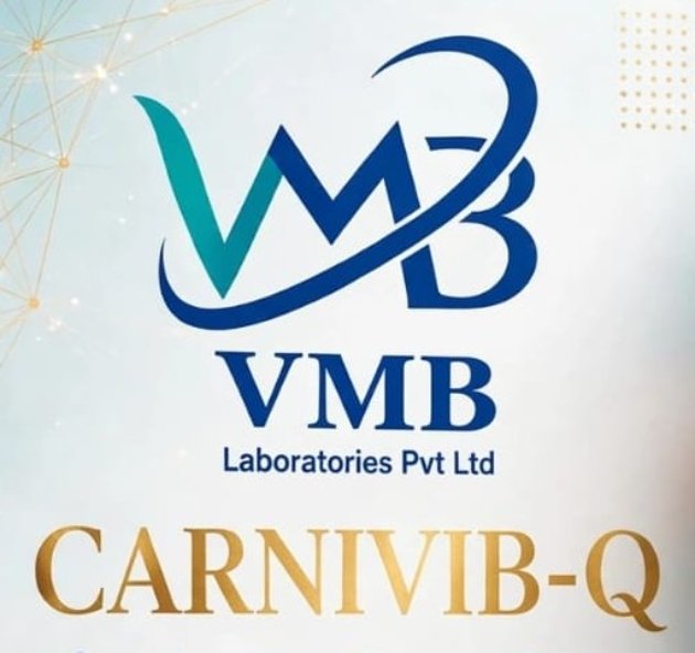 CARNIVIB-Q trademark artwork