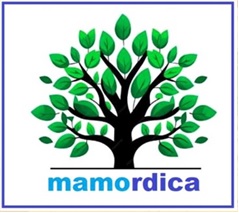 mamordica trademark artwork