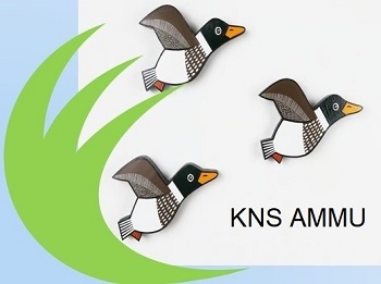 KNS AMMU trademark artwork