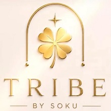 TRIBE BY SOKU trademark artwork