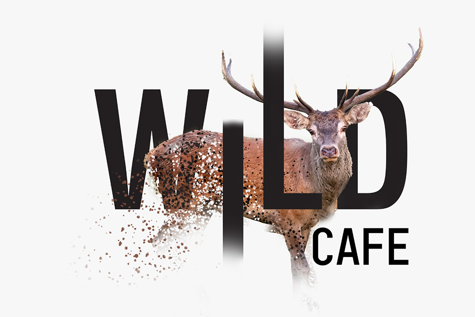 WILD CAFE trademark artwork