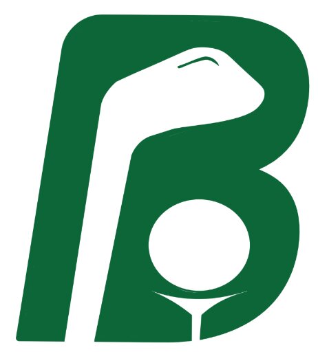 B Motiff logo trademark artwork