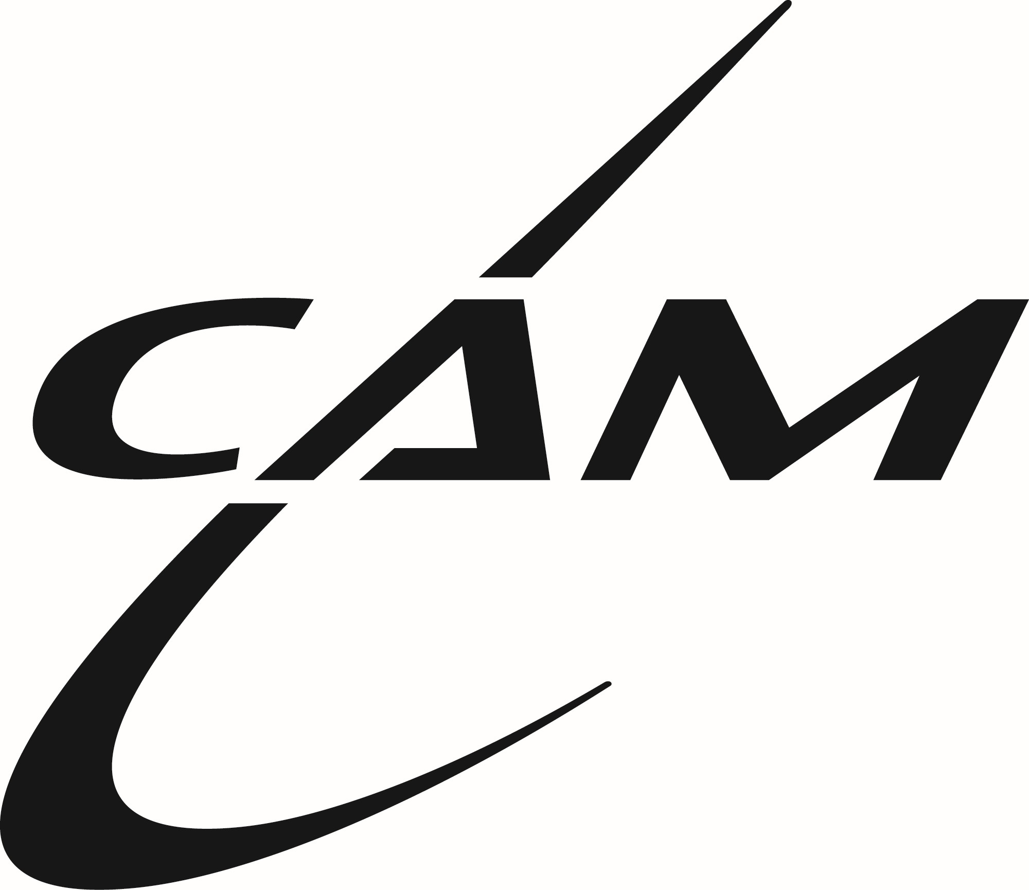 CAM (Logo) trademark artwork